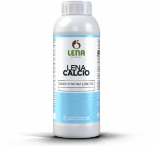 LENA CALCIO