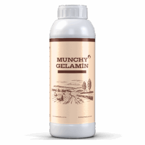 MUNCHY GELAMIN